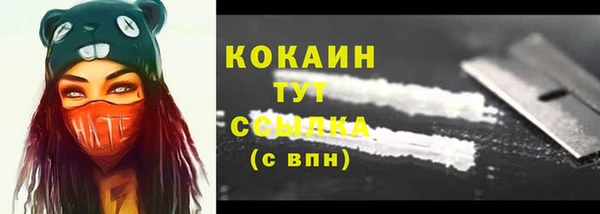 соль ск Арсеньев