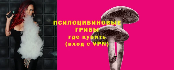 ГАЛЛЮЦИНОГЕННЫЕ ГРИБЫ Аркадак