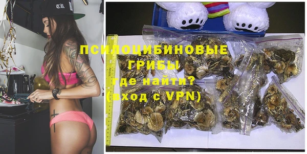 ГАЛЛЮЦИНОГЕННЫЕ ГРИБЫ Аркадак