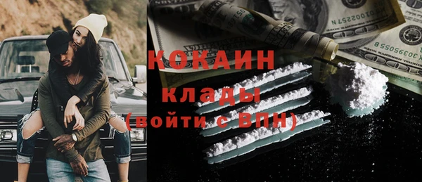 ГАЛЛЮЦИНОГЕННЫЕ ГРИБЫ Аркадак