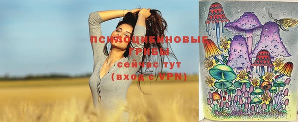 ГАЛЛЮЦИНОГЕННЫЕ ГРИБЫ Аркадак