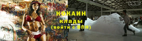 соль ск Арсеньев